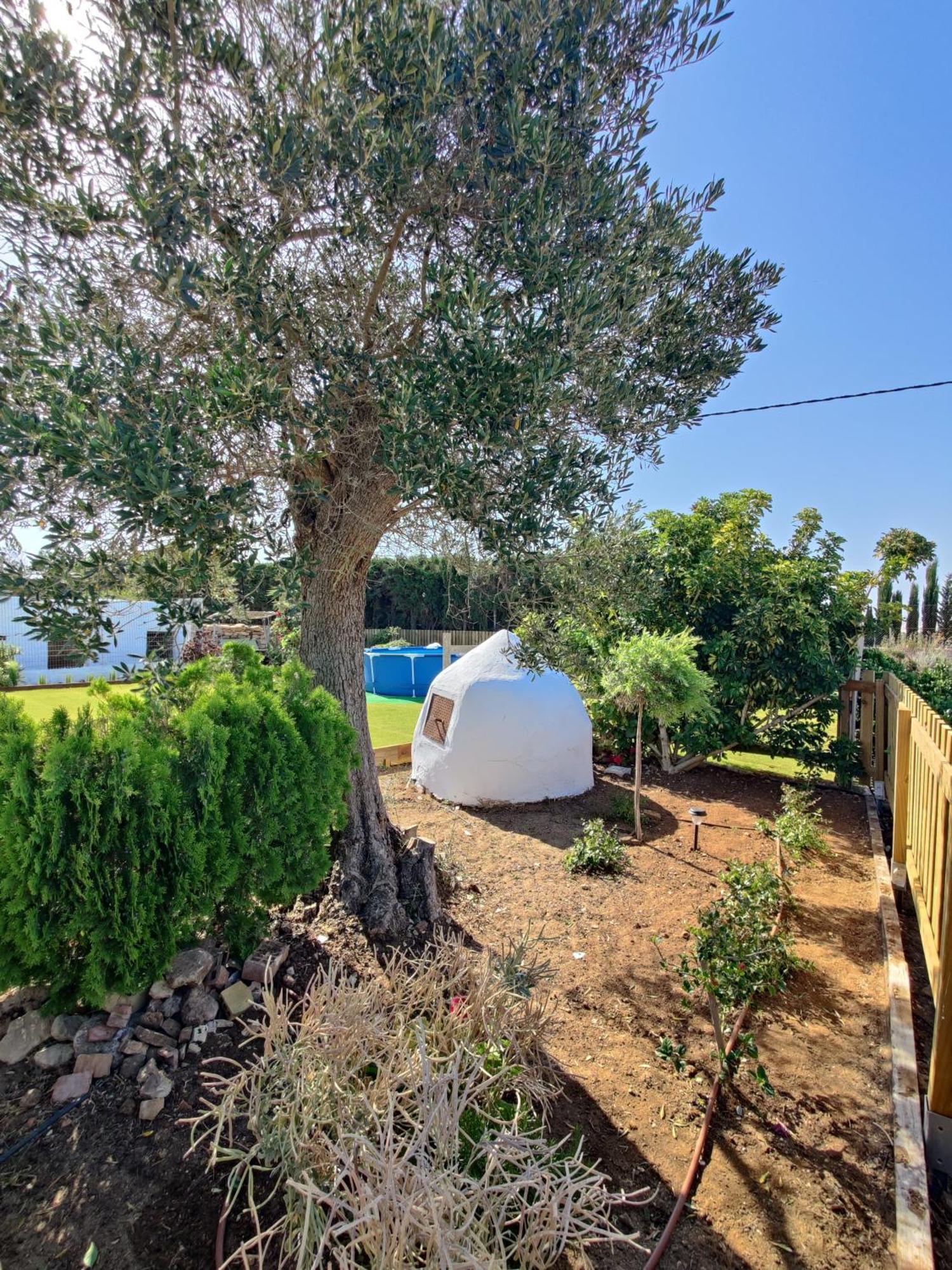 Casa Rural-Granja Conil De La Frontera Eksteriør bilde